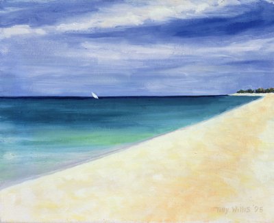 Indian Ocean II, 1995 by Tilly Willis